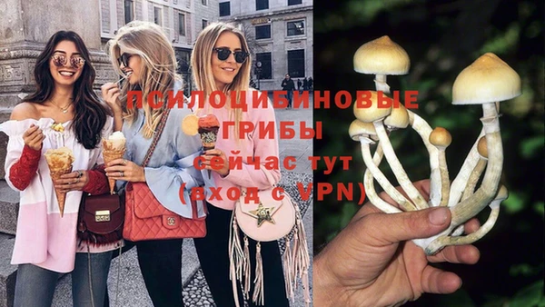 марихуана Абаза