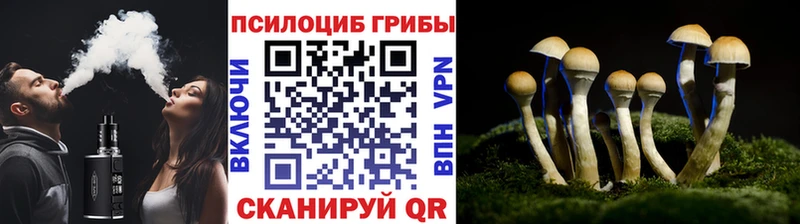 Псилоцибиновые грибы ЛСД  сколько стоит  Ковров 
